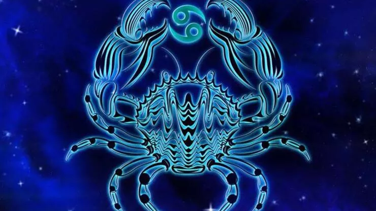 61c01eddb57f151338c2366e.webp