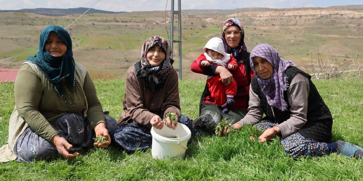 sivasta-madimak-hasadi-3.jpg