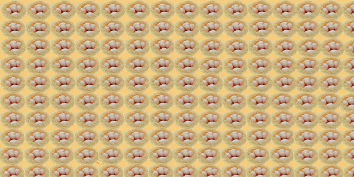 test-yumurta.jpg