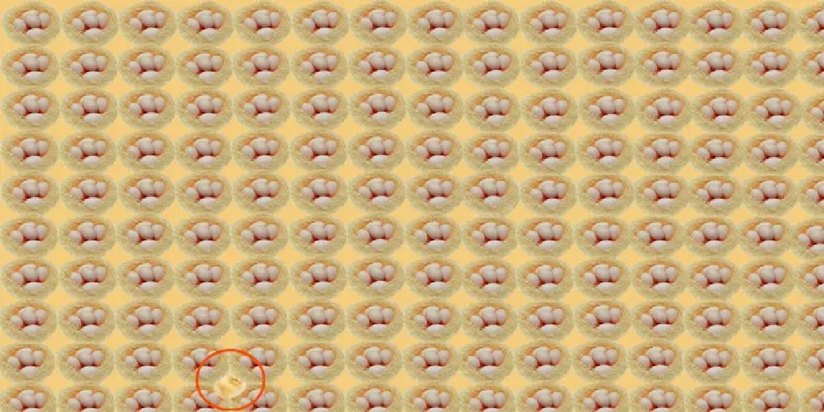 ustun-zeka-test-yumurta.jpg