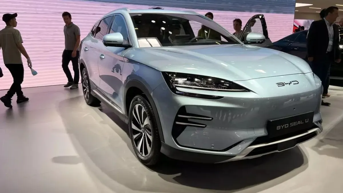 byd2.webp