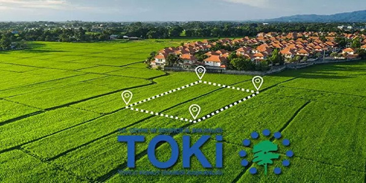 toki-arsa.jpg