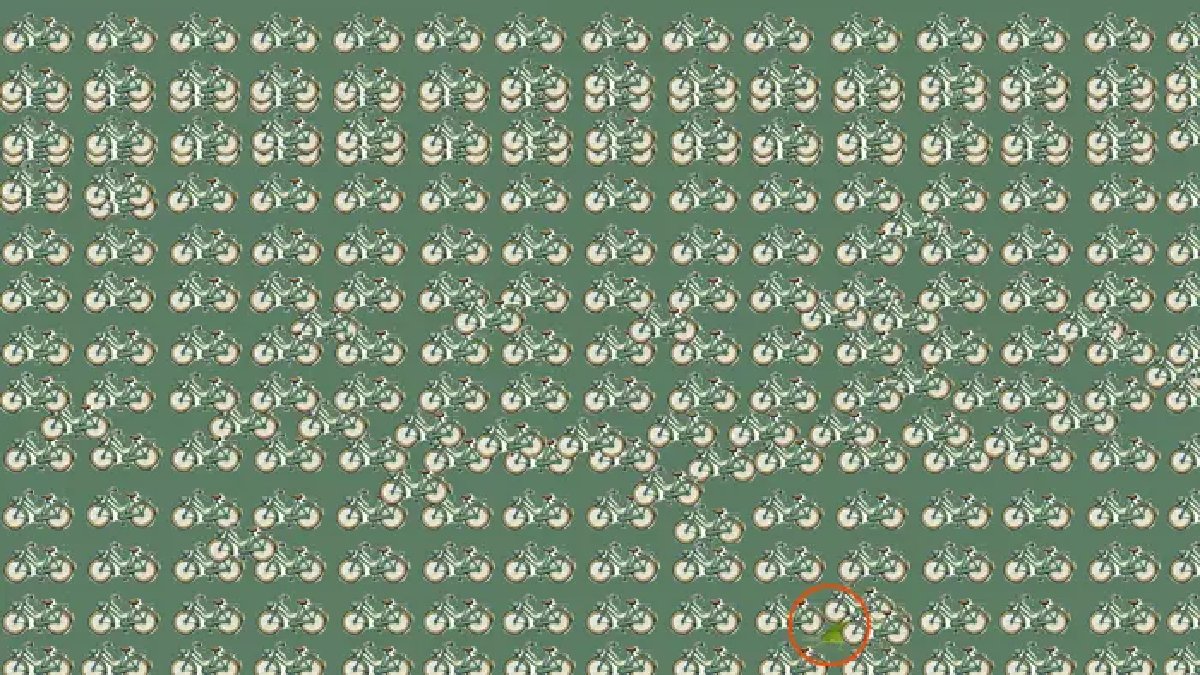 zeka-test-yanit.jpg