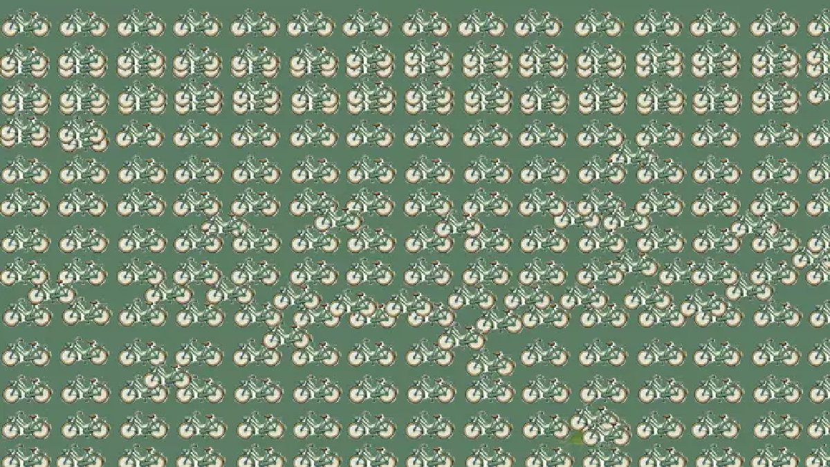zeka-test.jpg