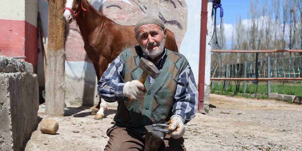 yeni-proje-21.jpg