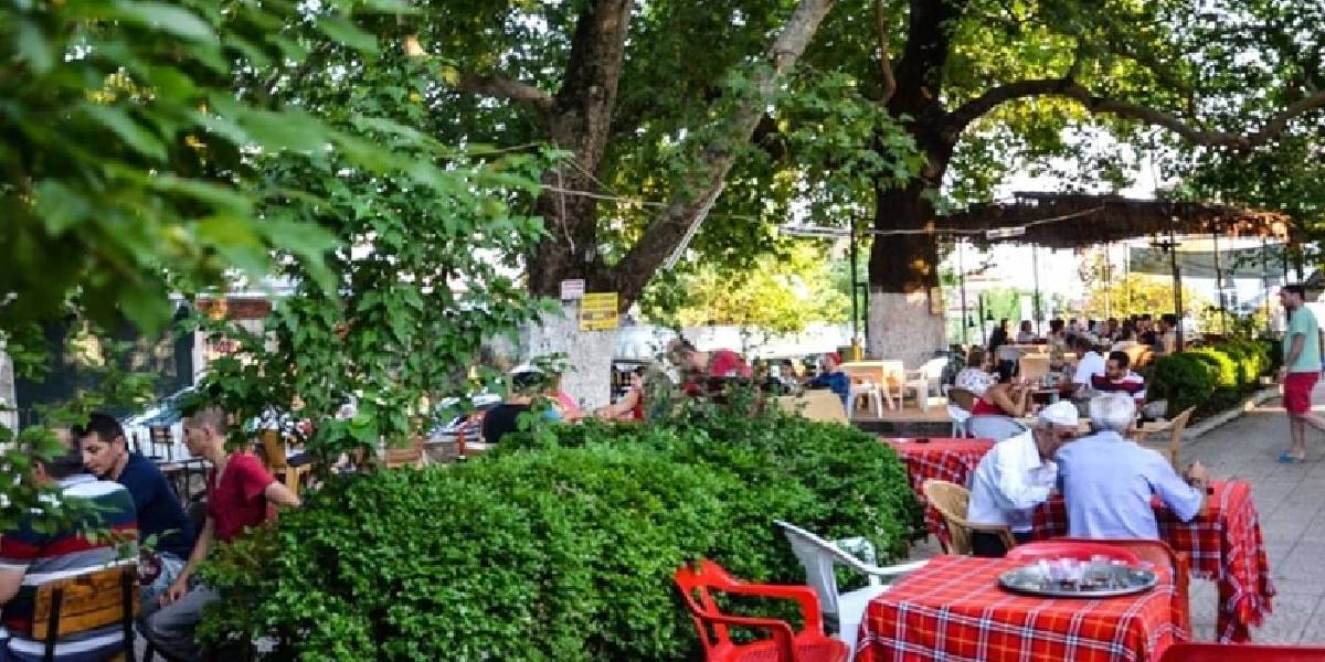 canakkale-kizilkecili-koyu-2.jpg