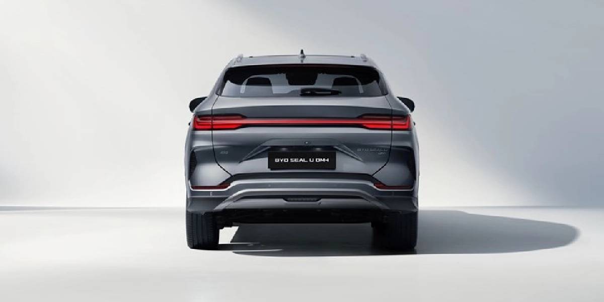 byd-3.jpg
