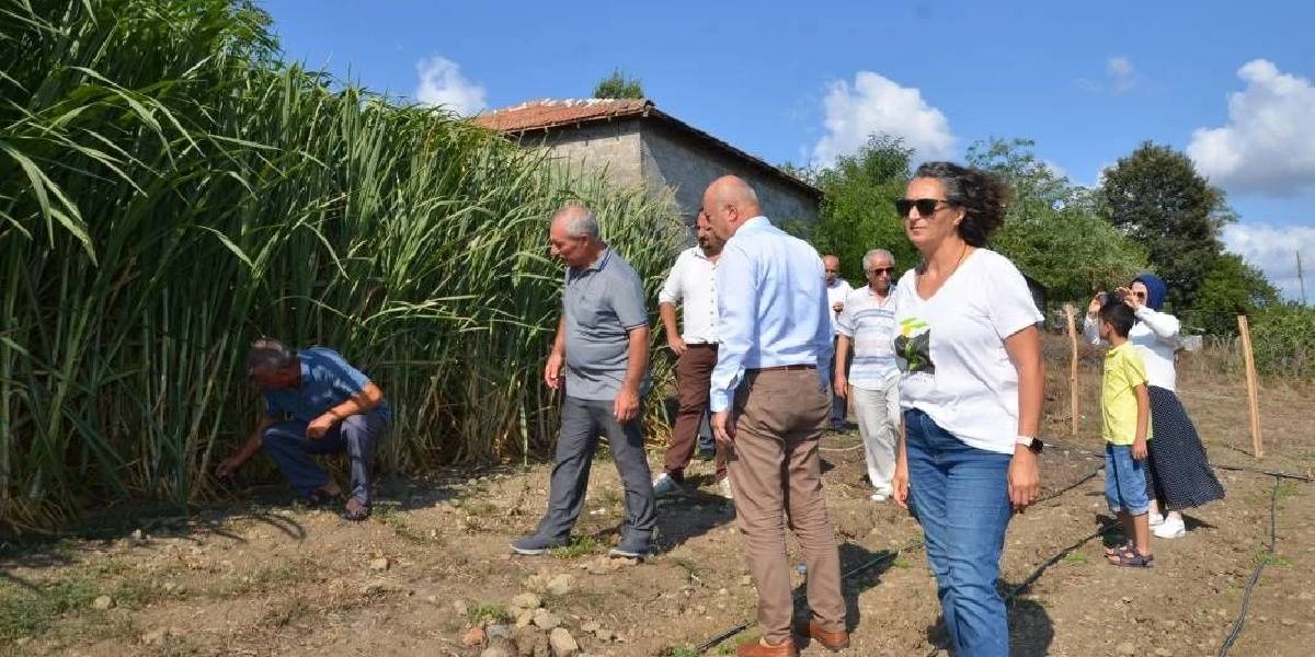 yeni-proje-16.jpg