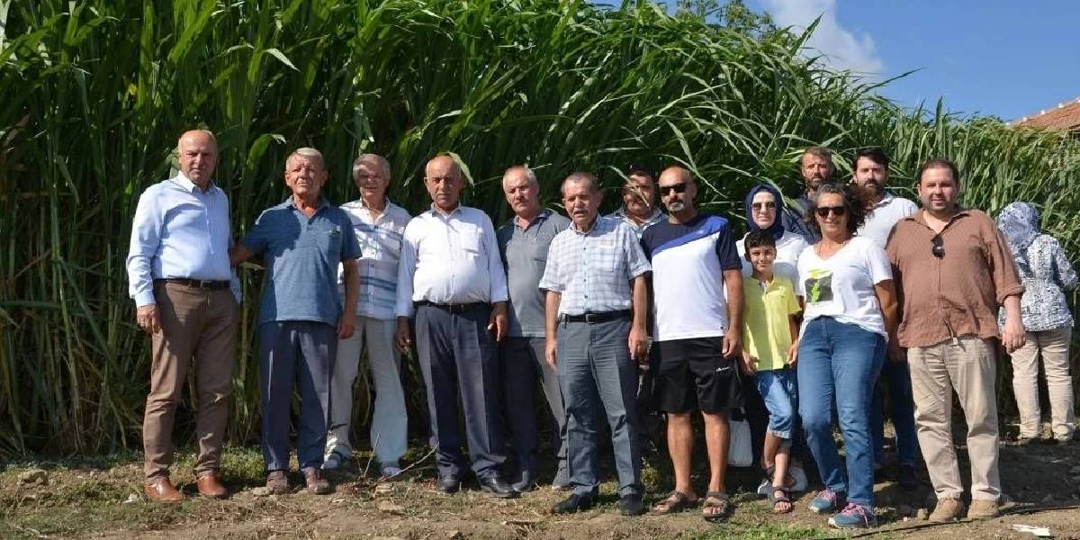 yeni-proje-18.jpg