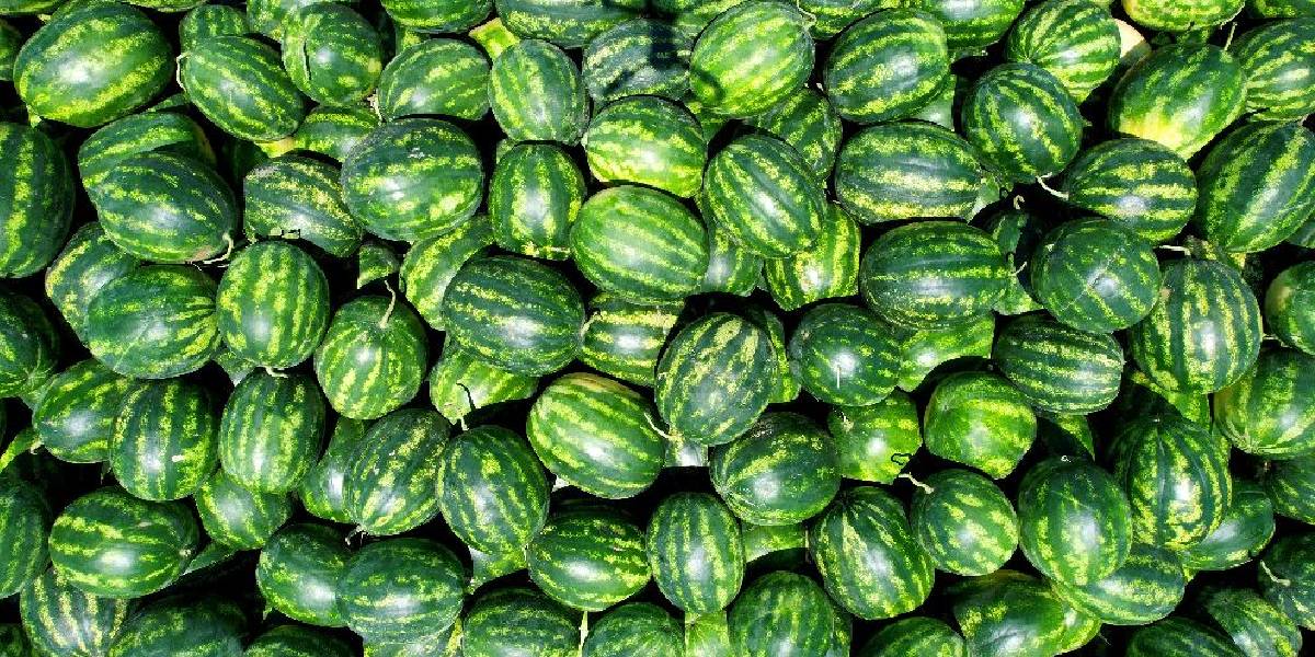 yeni-proje-25.jpg