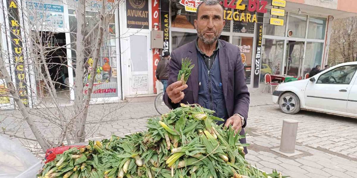 yeni-proje-30.jpg