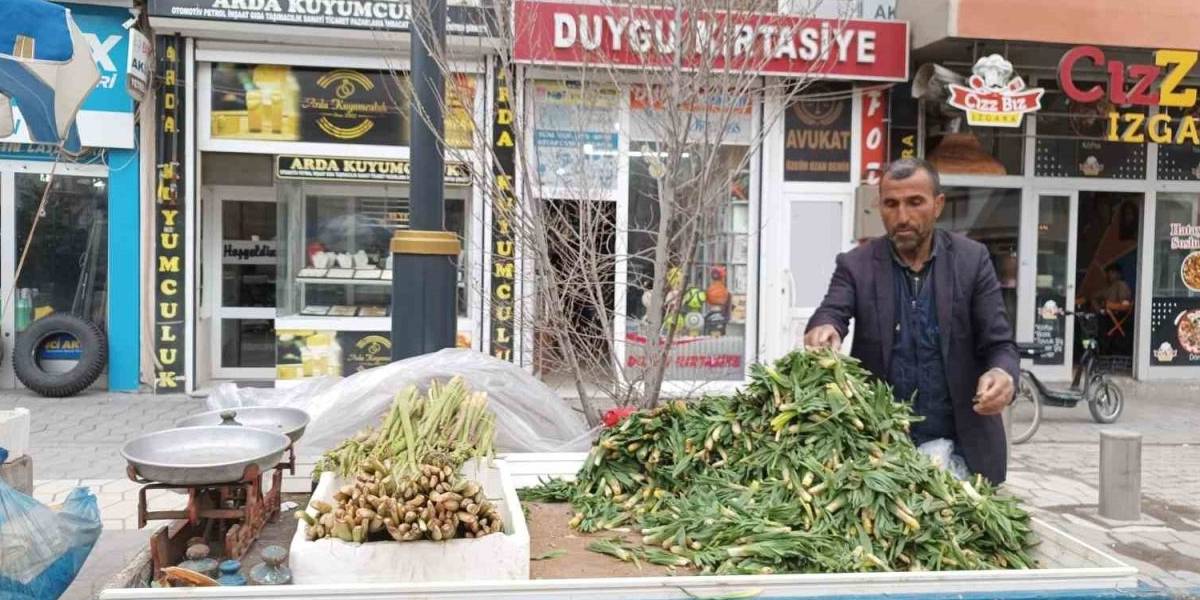yeni-proje-31.jpg