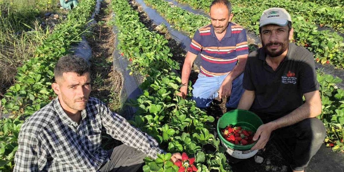 yeni-proje-39.jpg