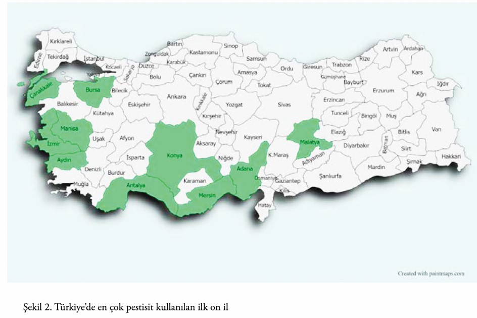screenshot-13.jpg
