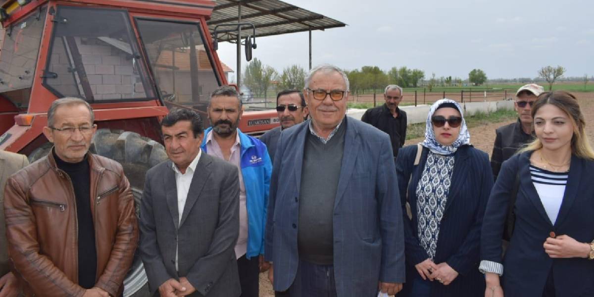 konyada-kenevir-ekimi-2.jpg