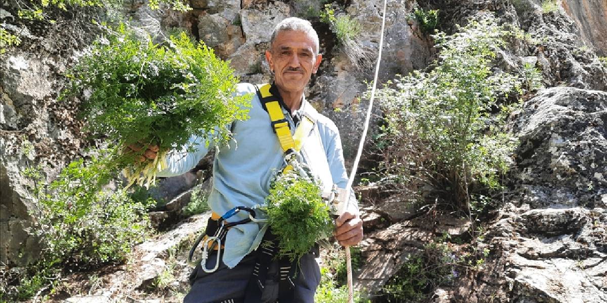 konyada-kisnis-hasadi-basladi-1