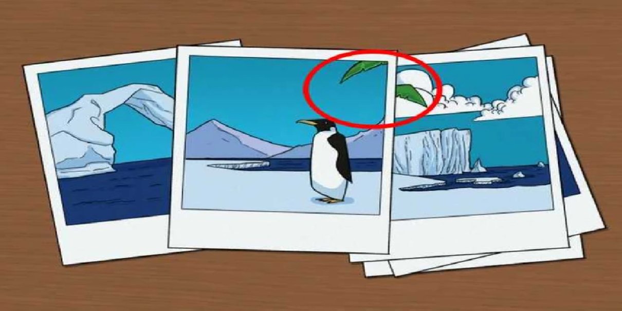 penguen-test-yanit.jpg