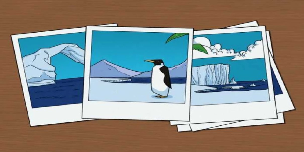 penguen-test.jpg