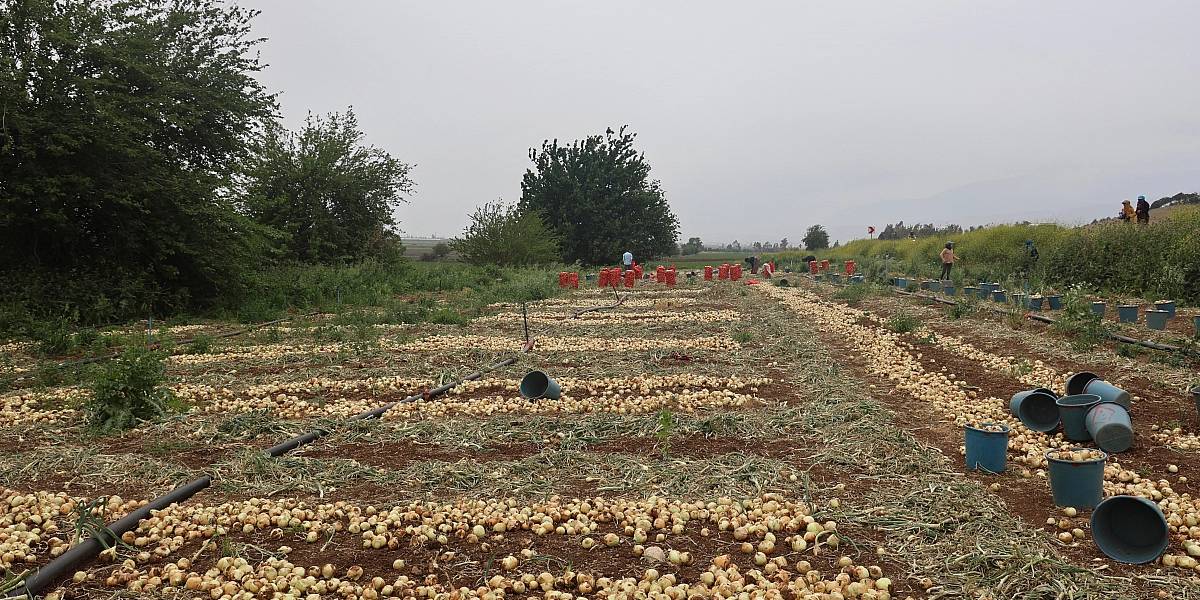 yeni-proje-21.jpg