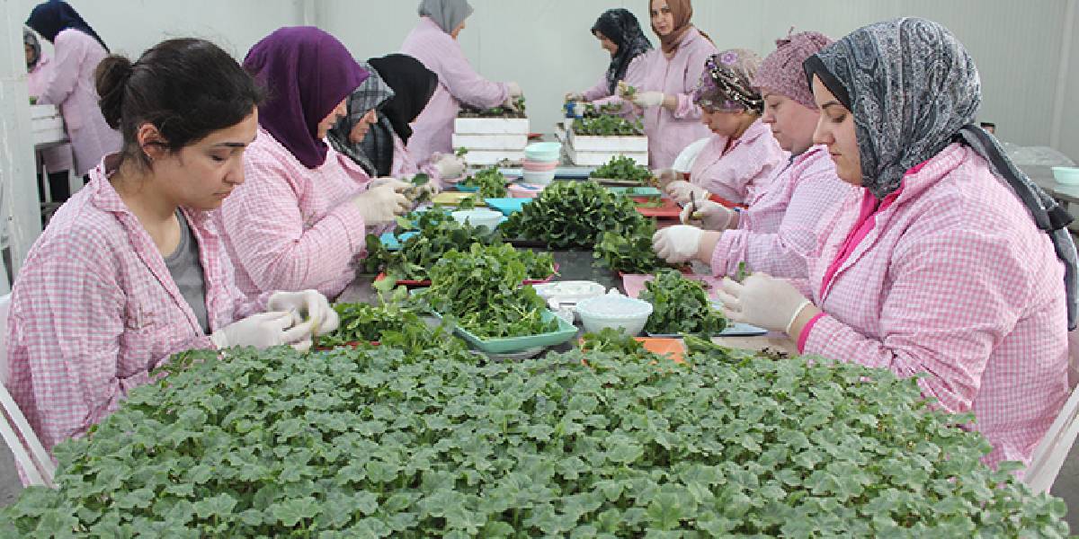 yeni-proje-25.jpg