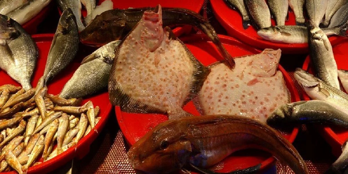 kalkan-balik.jpg