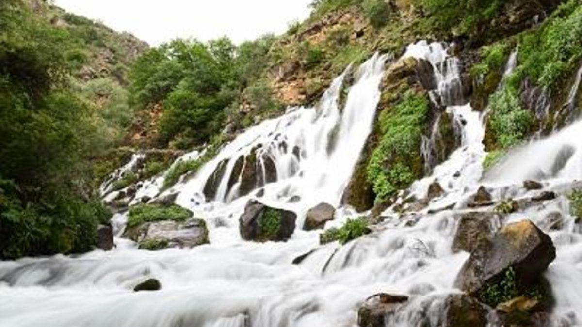 12994712-1200x675.jpg