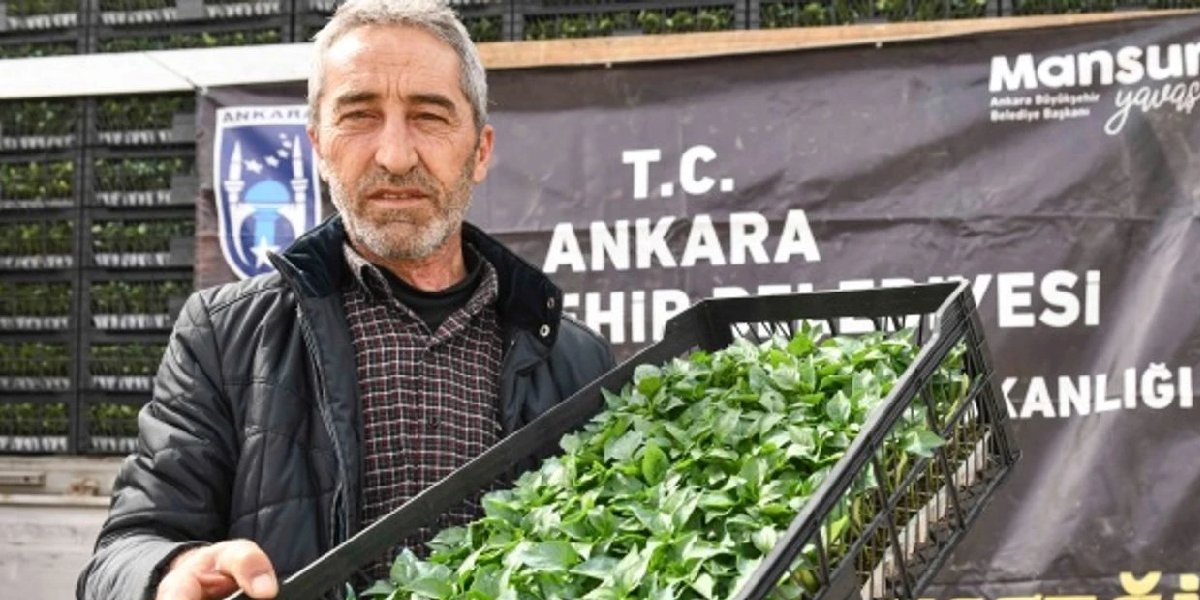 mansur-yavas-fide.jpg