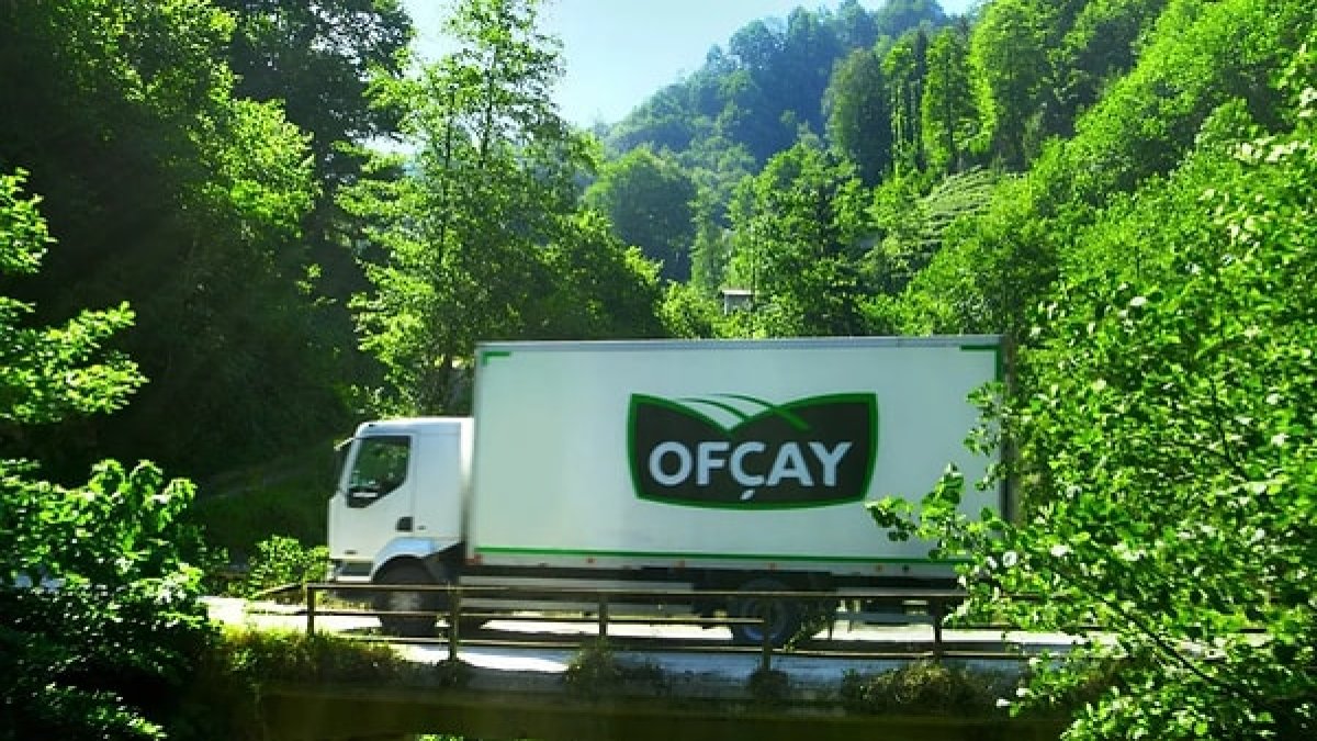 ofcay.jpg