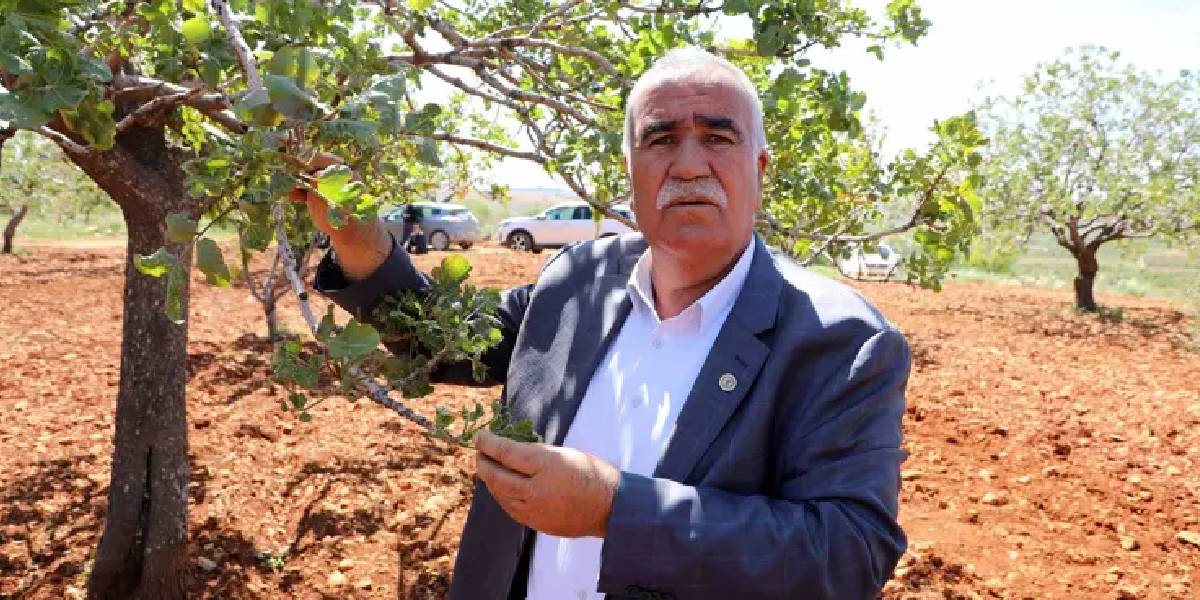 yeni-proje-2.jpg