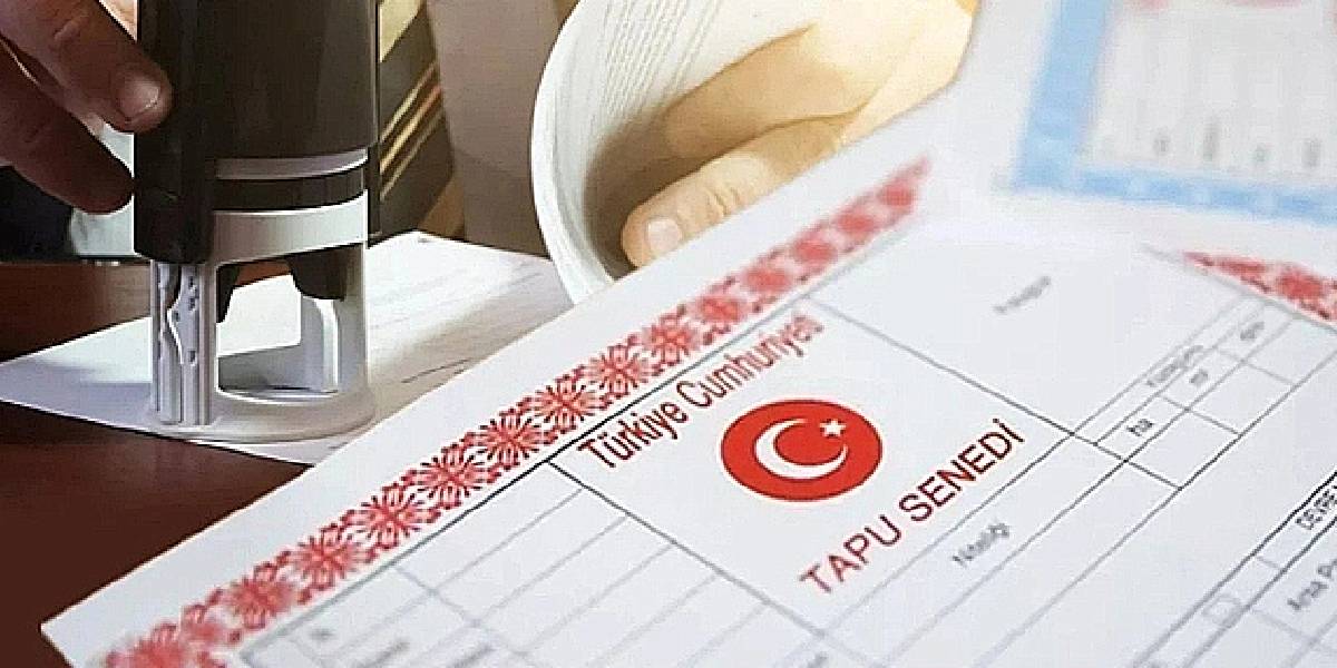 yeni-proje-11.jpg