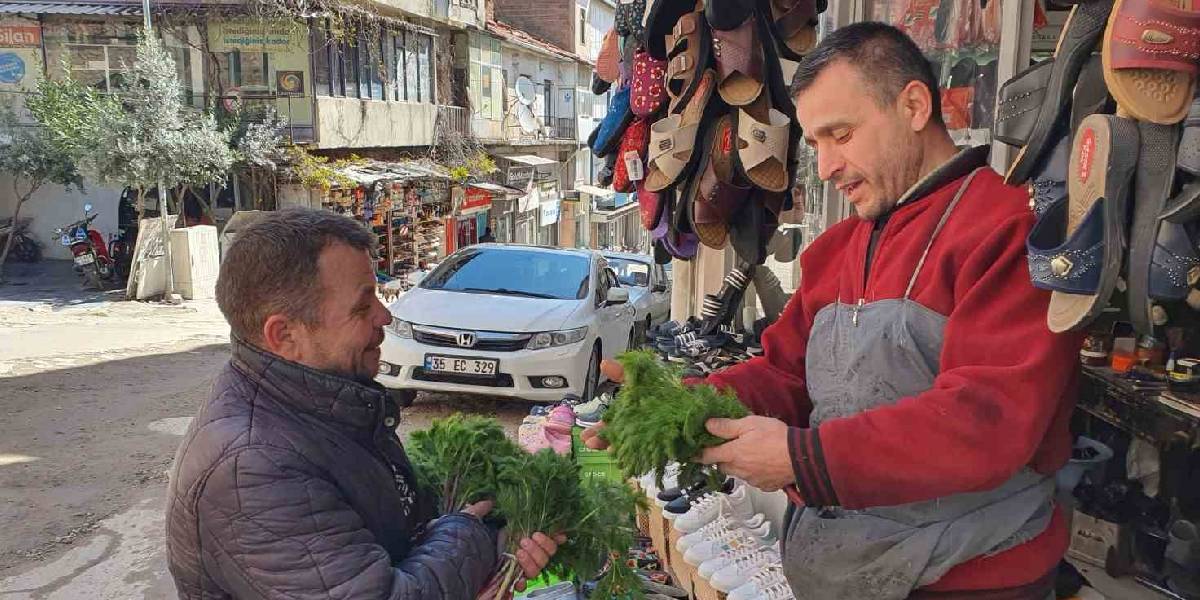 yeni-proje-16.jpg