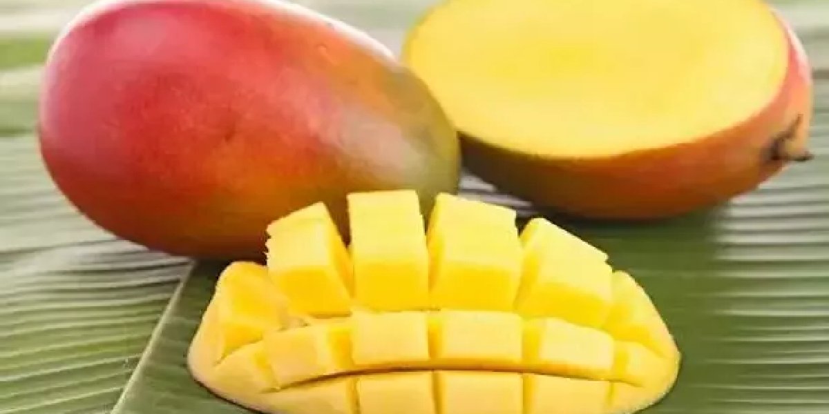 mango-1