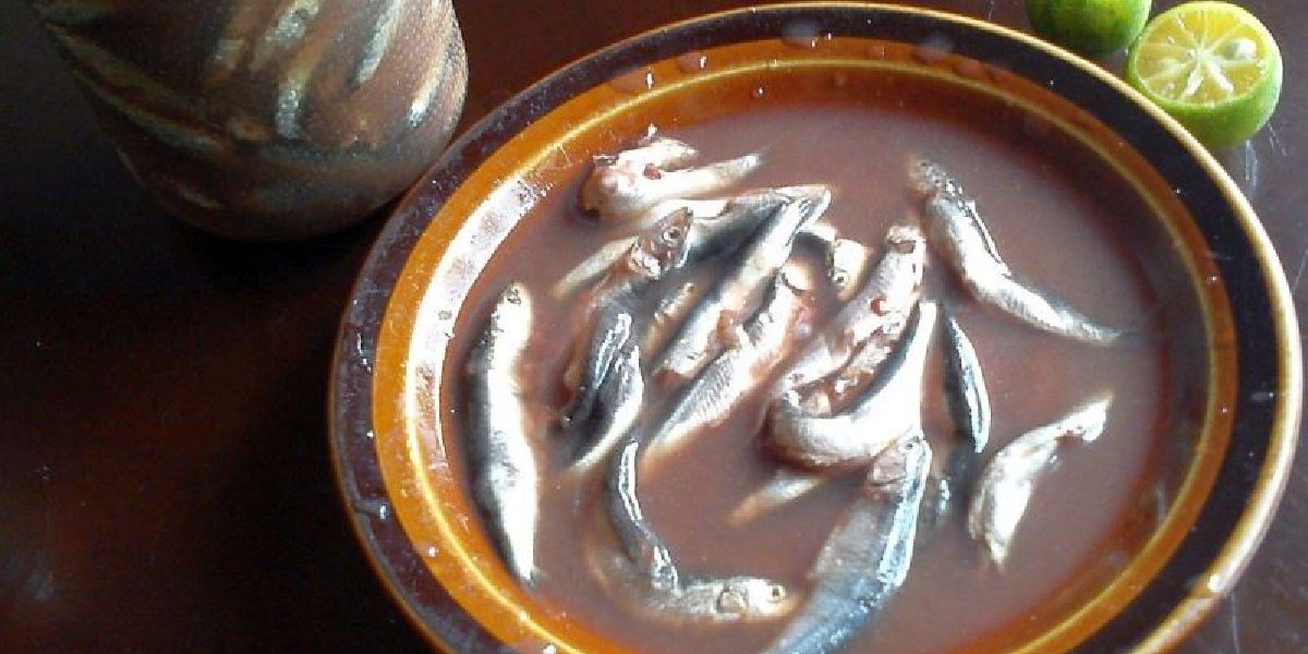 garum-sosu.jpg