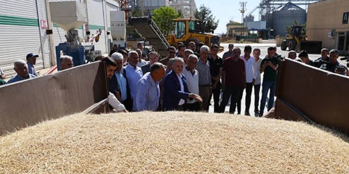 yeni-proje-24.jpg