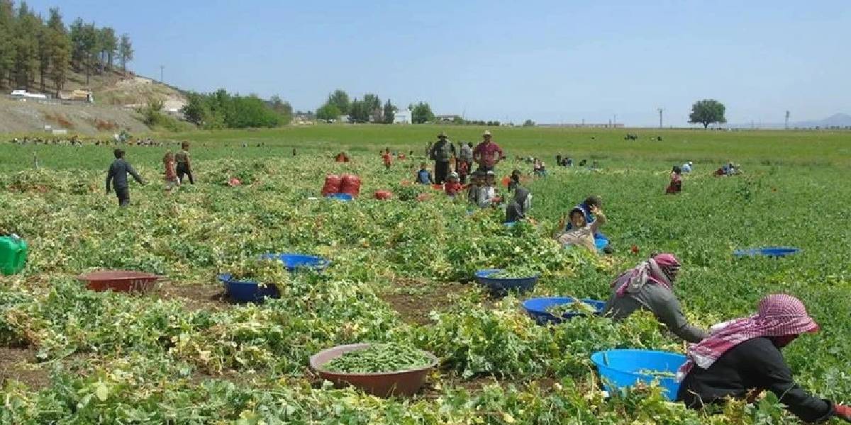 yeni-proje-31.jpg