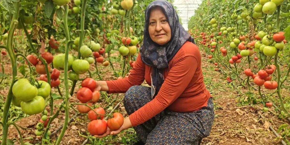 yeni-proje-51.jpg