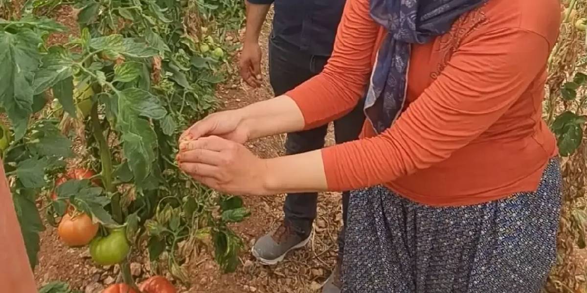 yeni-proje-52.jpg
