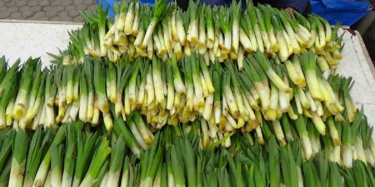 gulik-hasat.jpg