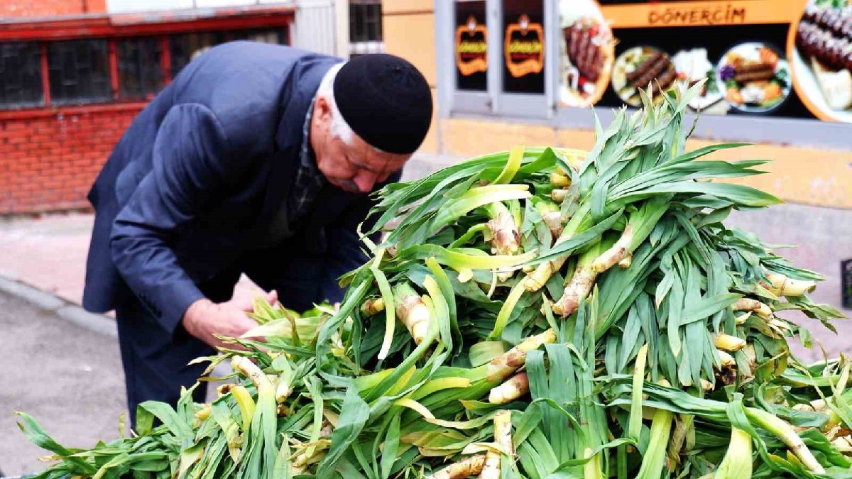 gulik-kapak.jpg
