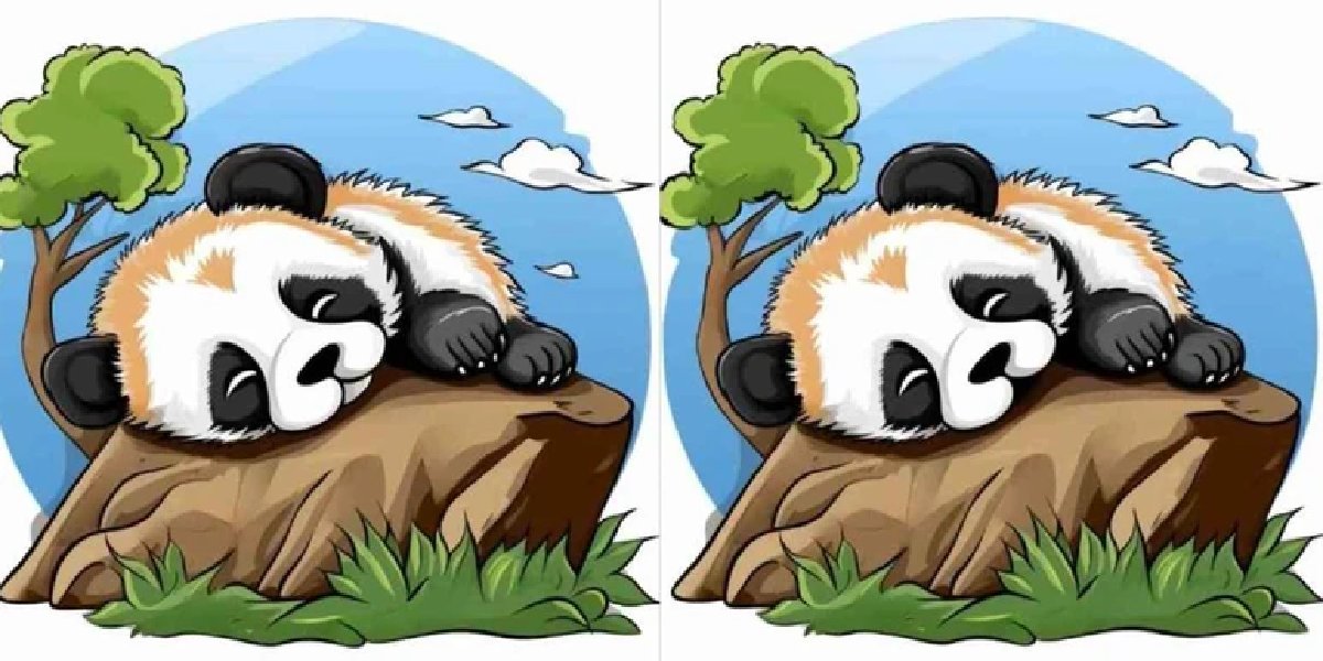 panda-7-fark.jpg