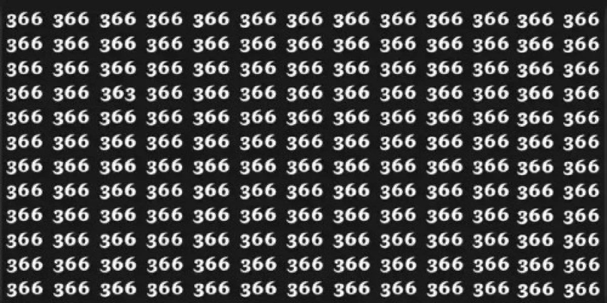 366-sayi.jpg