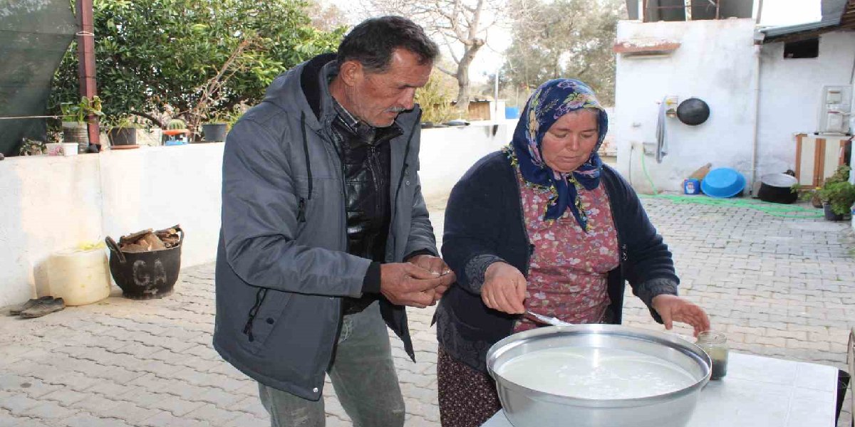 manda-kaymagi-erdal.jpg