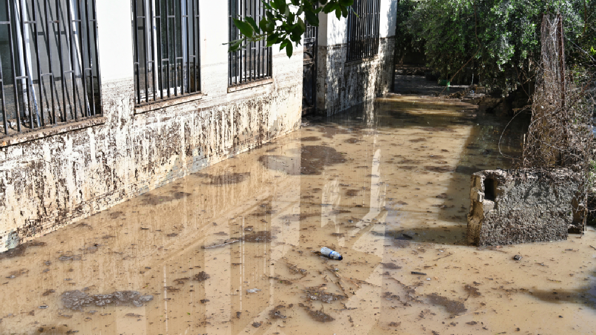 yeni-proje-40-kopyasi-22