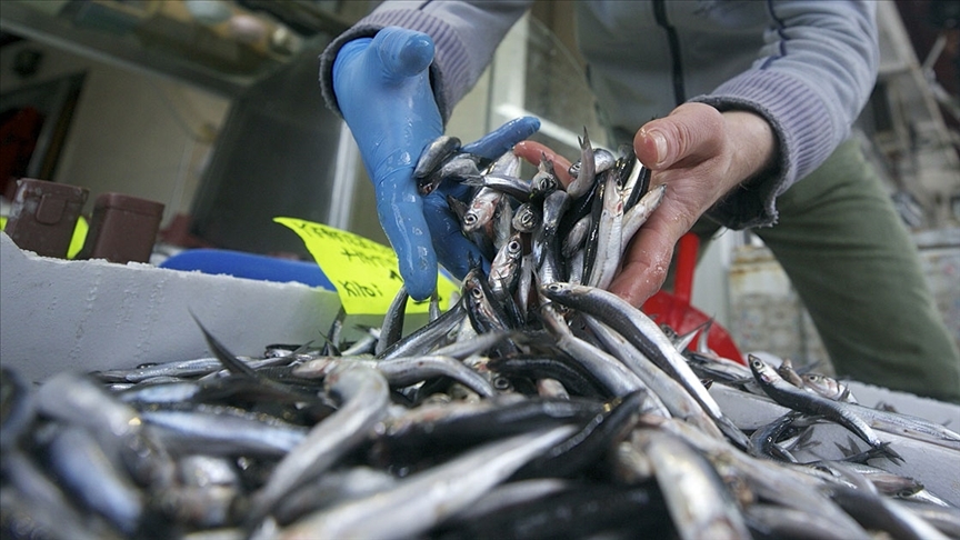 thumbs-b-c-1f0f63ab3492ec81b02f84a88f9957e4-001