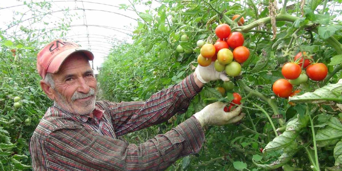 yeni-proje-12.jpg