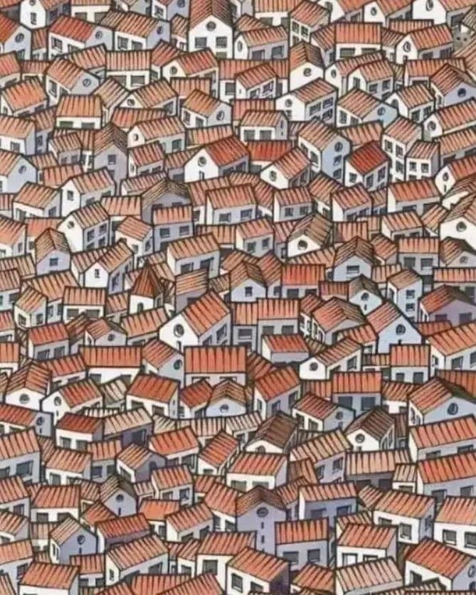 gizli-kedi-1.jpg