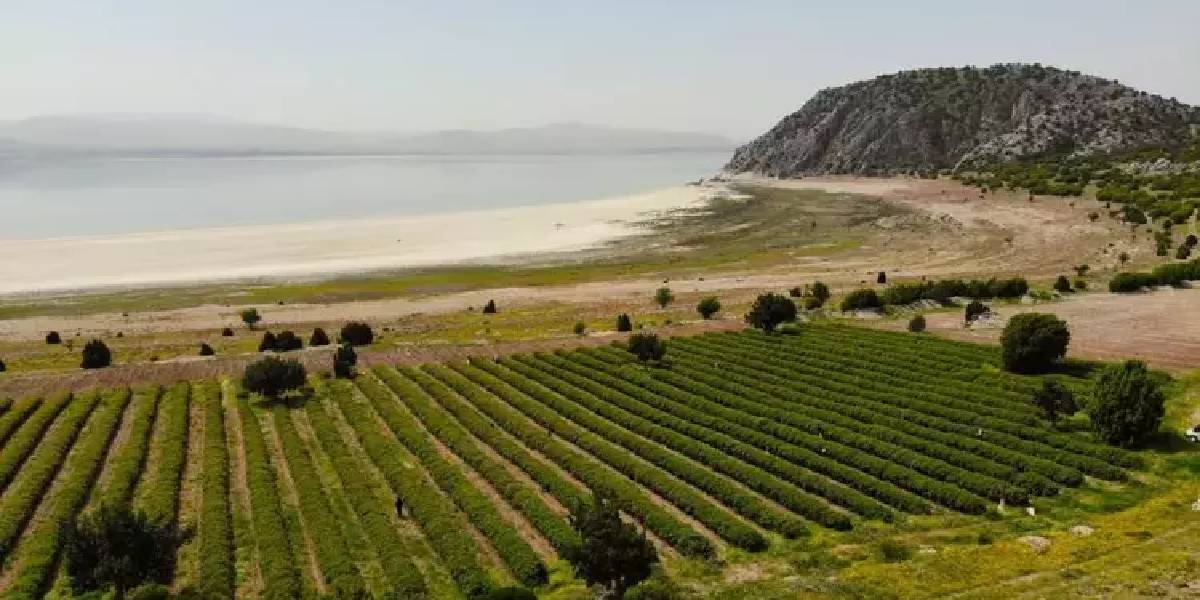 ispartada-gul-hasadi-2.jpg