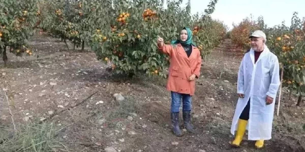 yeni-proje-10.jpg