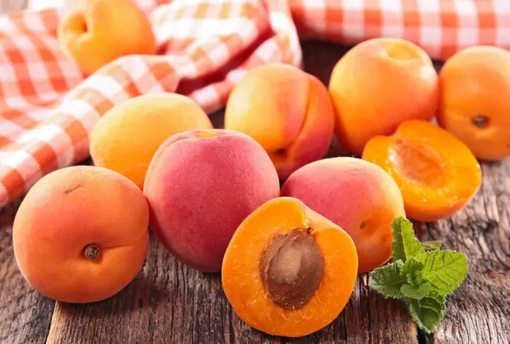 kayisiapricot-producers.webp