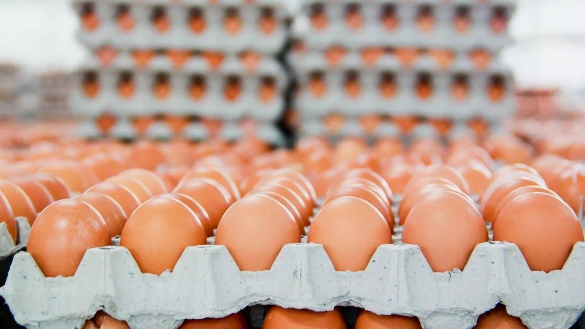 yeni-proje-2025-05-24t104317-350